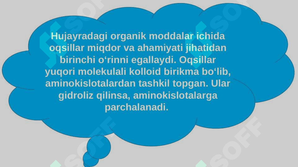 Oqsillar. Aminokislotalar 2