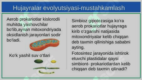 Hujayraning kimyoviy elementlari 3