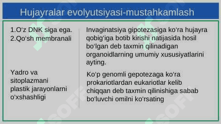 Hujayraning kimyoviy elementlari 4