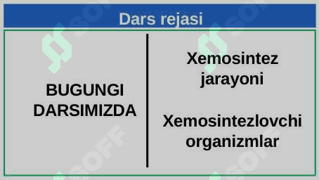 Xemosintez 2