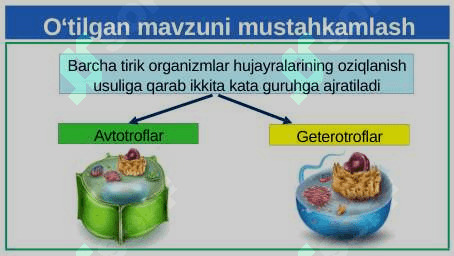 Xemosintez 3