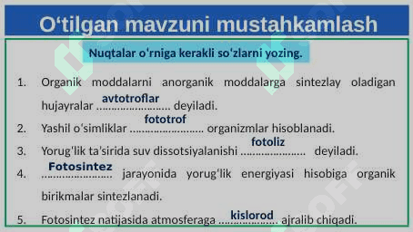 Xemosintez 5