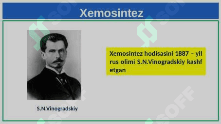 Xemosintez 6
