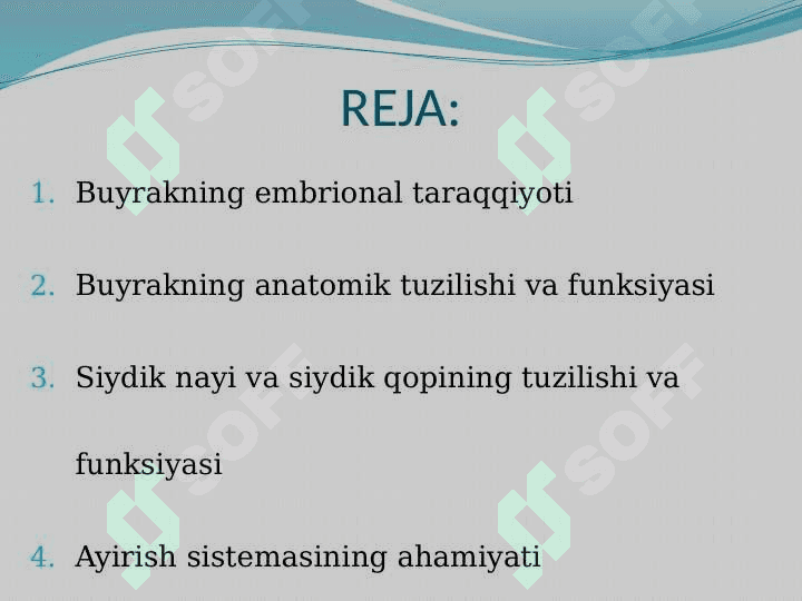 Ayirish sistemasining umumiy tuzilishi va funksiyasi 2