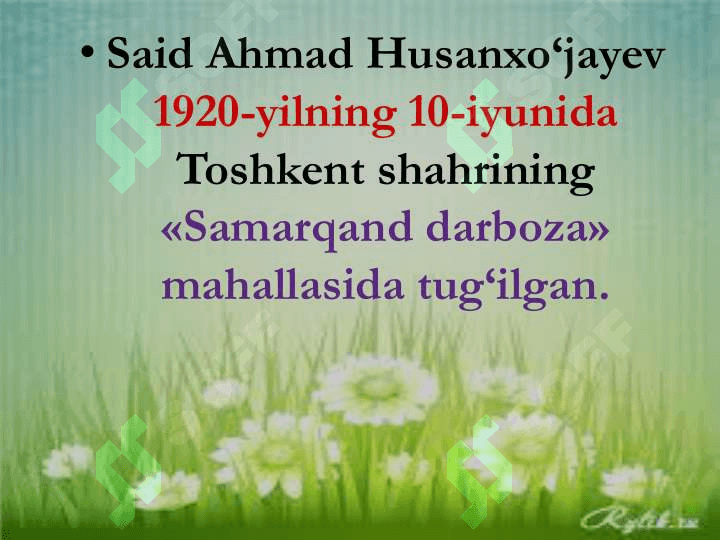 Said Ahmad 2