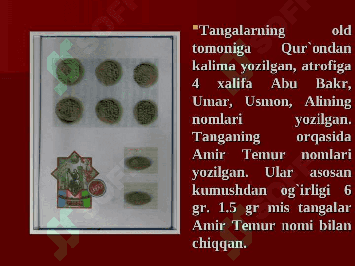 Amir Temur 6