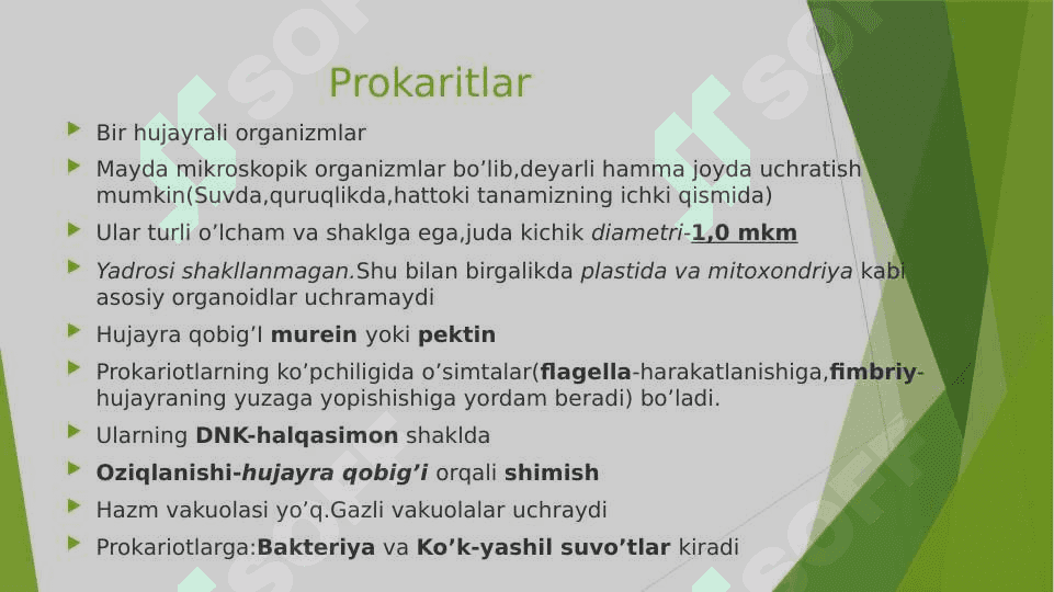 Prokariot hujayralar 2