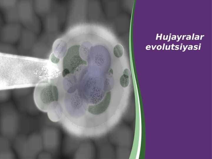Hujayralar evolutsiyasi