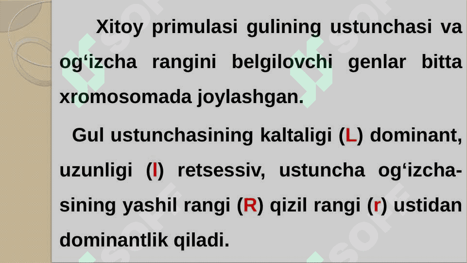 O‘zgaruvchanlik 2