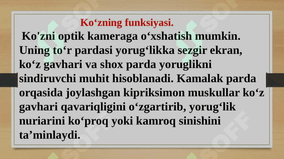 Ko‘rish organlarining funksiyasi 3
