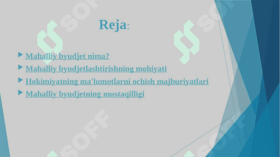 MAHALLIY BYUDJETLAR 2