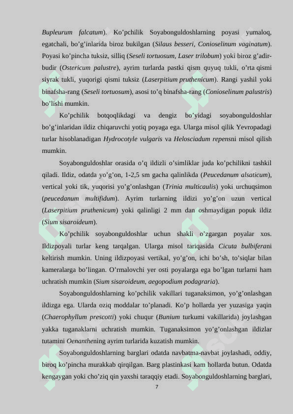 Ziranamolar (Apiales) qabilasi 7