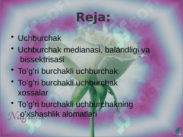 Uchburchak peremetri,medyonasi,bissekturasi,balandligi.To'ri burchakli uchburchak 2