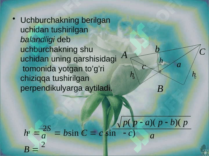 Uchburchak peremetri,medyonasi,bissekturasi,balandligi.To'ri burchakli uchburchak 3