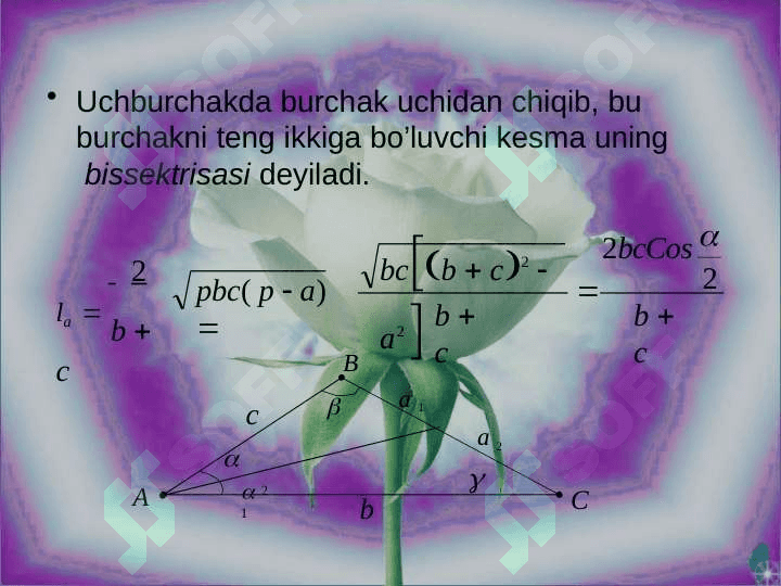 Uchburchak peremetri,medyonasi,bissekturasi,balandligi.To'ri burchakli uchburchak 4