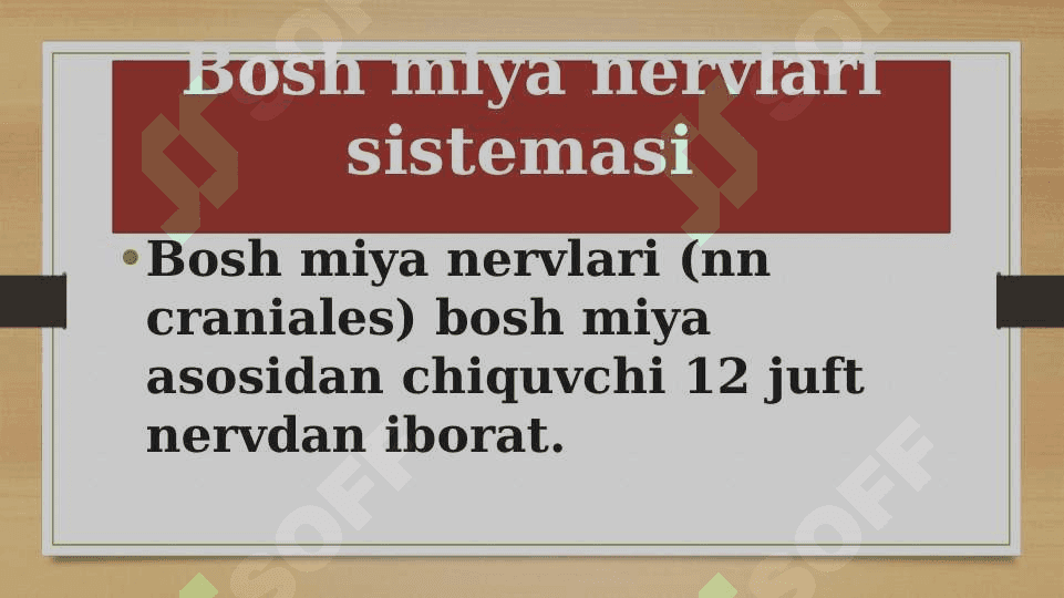 Bosh miya nervlari sistemasi 3