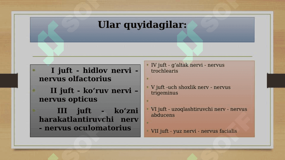 Bosh miya nervlari sistemasi 4