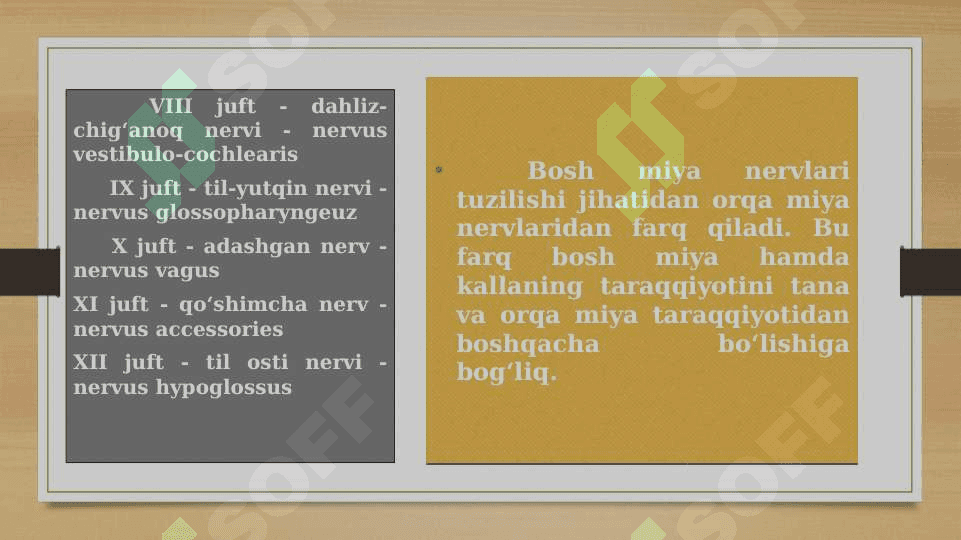 Bosh miya nervlari sistemasi 5