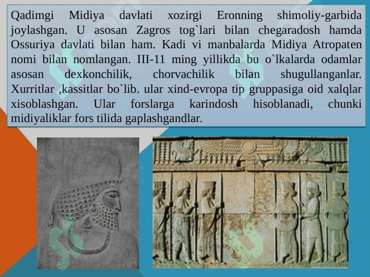 Midiya podsholigi 7