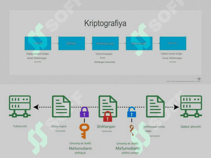 ppt 4