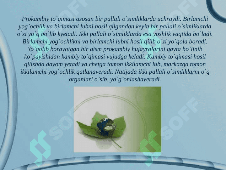 Tòqimalar va ularning tuzilishi. 5
