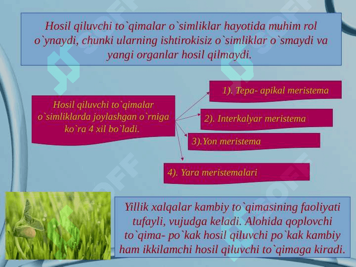 Tòqimalar va ularning tuzilishi. 6