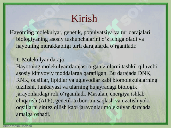 Hayotning molekulyar, genetik, populyatsiya va tur darajalari 2
