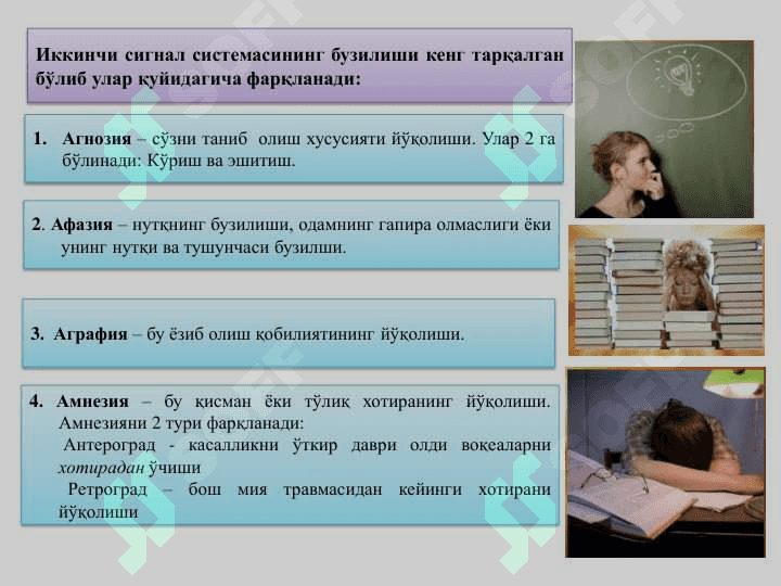 oliy nerv faoliyati yoshga oid xususiyatlari 6
