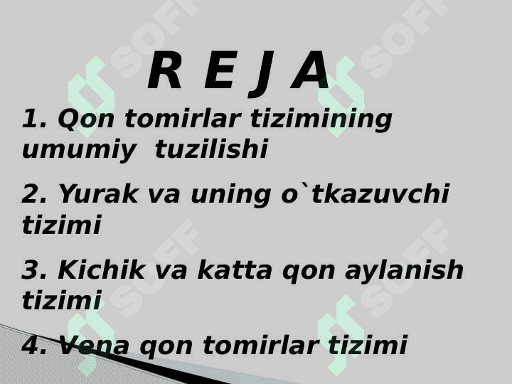 Qon aylanish a`zolarining tuzilishi va ahamiyati 2