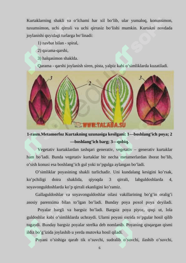 NOVDA METAMORFOZI VA UNING BIOLOGIK AHAMIYATI (2) (2).docx 6