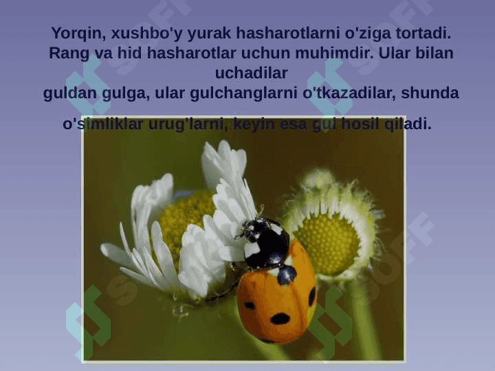 Modulli origami gullari tayyorlash 3