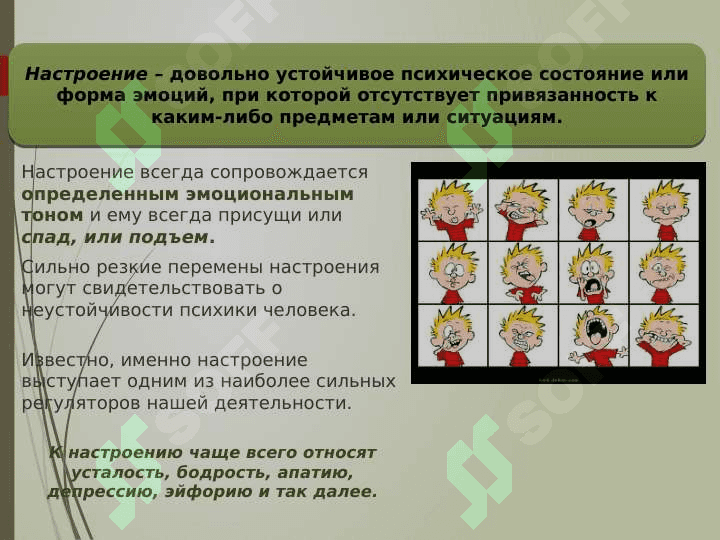 ТЕОРИИ  ЭМОЦИЙ 5