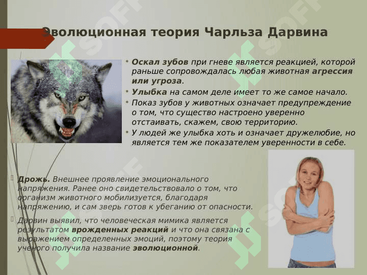 ТЕОРИИ  ЭМОЦИЙ 8