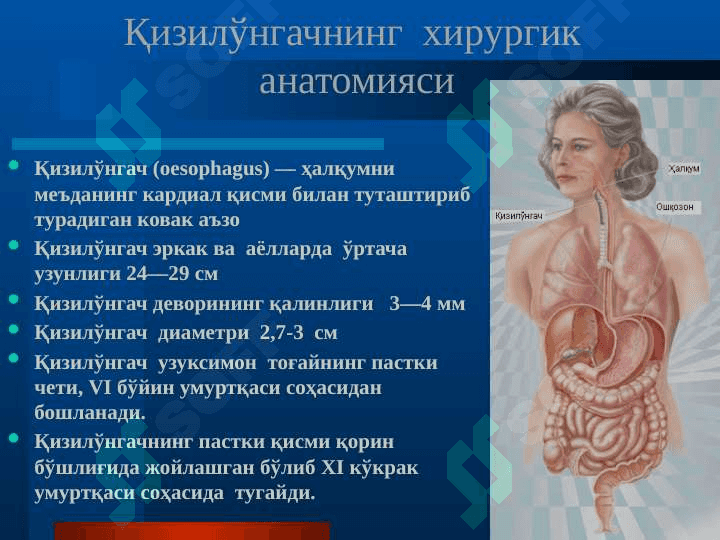 Qizilo‘ngachning xirurgik kasalliklari 2