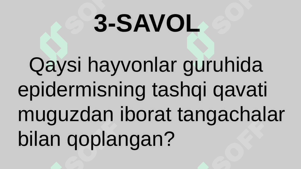 HAYVONLARNING NAFAS OLISH ORGANLARI EVOLUTSIYASI 6