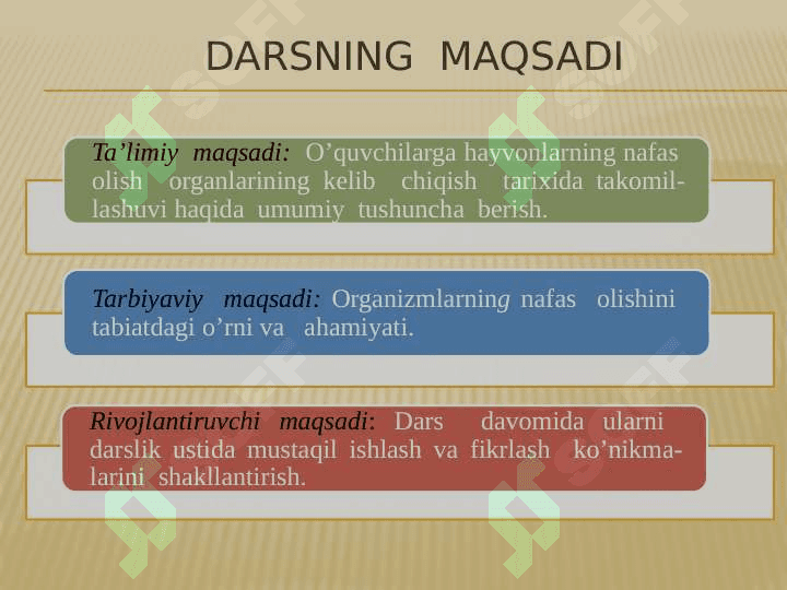 Hayvonlarning nafas olish organlari evolutsiyasi 2