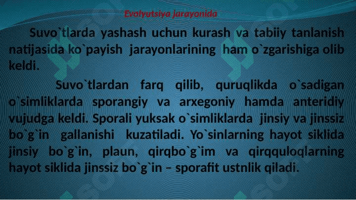 O`simliklarning  generativ  organlari  filogenezi 3