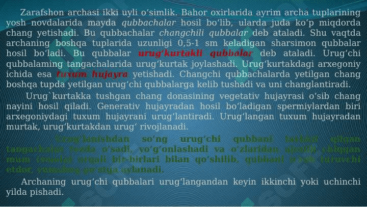O`simliklarning  generativ  organlari  filogenezi 7
