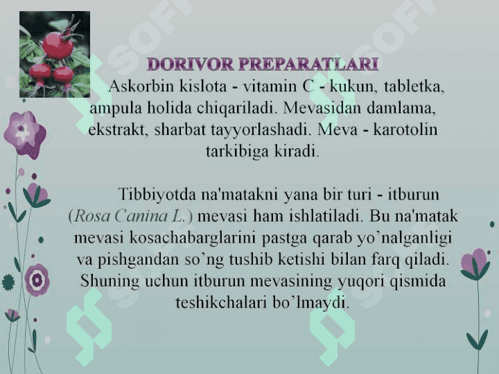 Xalq tabobatida davolash usullari 8