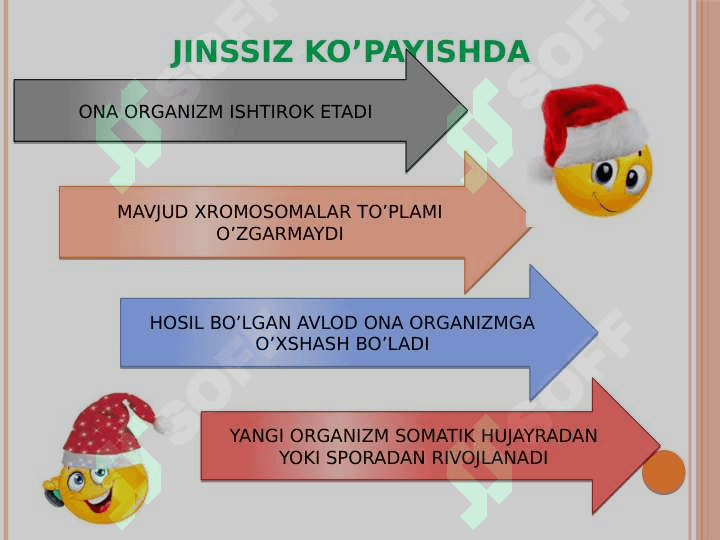 ORGANIZMLARNING JINSSIZ KO’PAYISHI 6