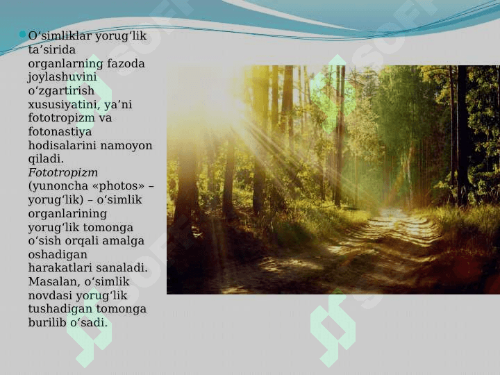 Yorug‘lik muhitning abiotik omili 6