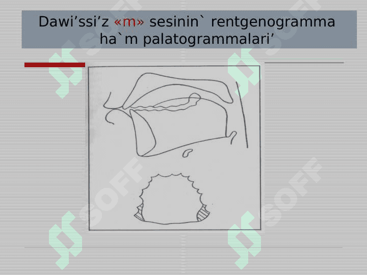Dawıslı hám dawıssız seslerdiń  artikulyaciyalıq sıpatlaması 8