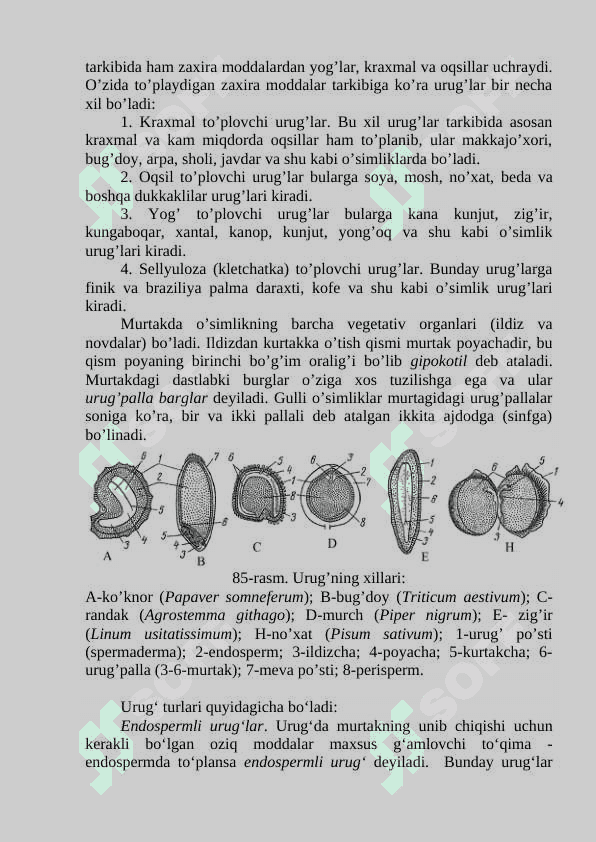 ENDOSPERMSIZ,ENDOSPERMLI VA PERISPEMLI  ENDOSPERMSIZ URUG'LARNING TUZILISHI VA ULARNING UNISHI 3