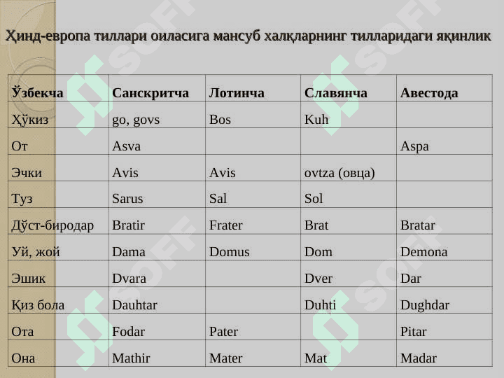 ЎРТА ОСИЁНИНГ БРОНЗА ДАВРИ АҲОЛИСИ 5