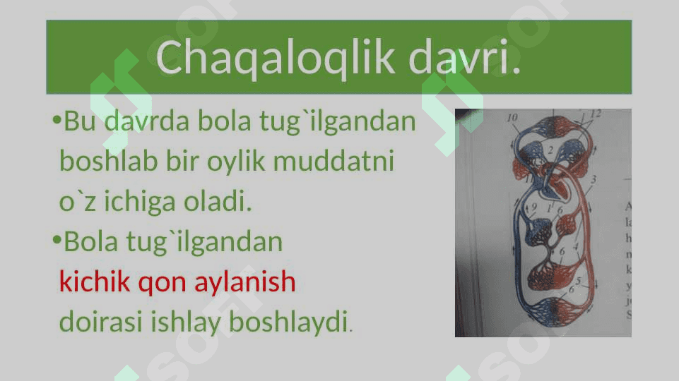 Bolaning o`sishi va rivojlanishi 4