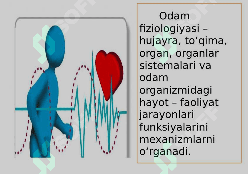 Tibbiyot fanining rivojlanish tarixi 7