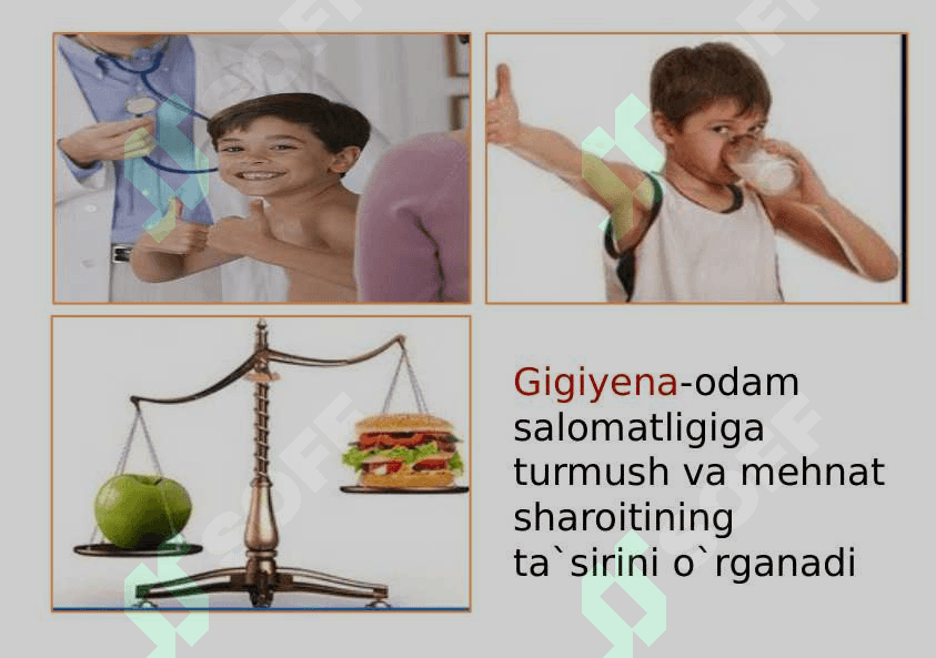 Tibbiyot fanining rivojlanish tarixi 8