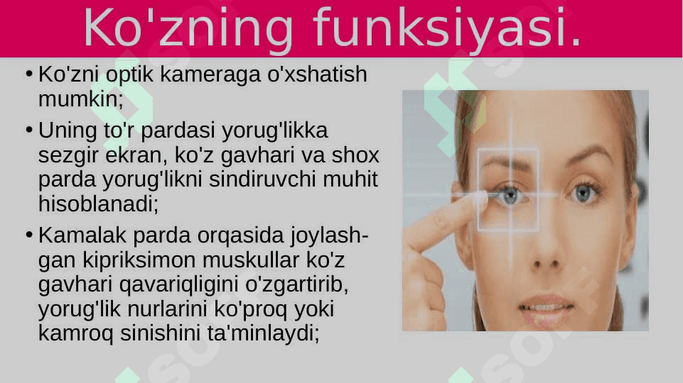Ko'rish organlarining funksiyasi 2