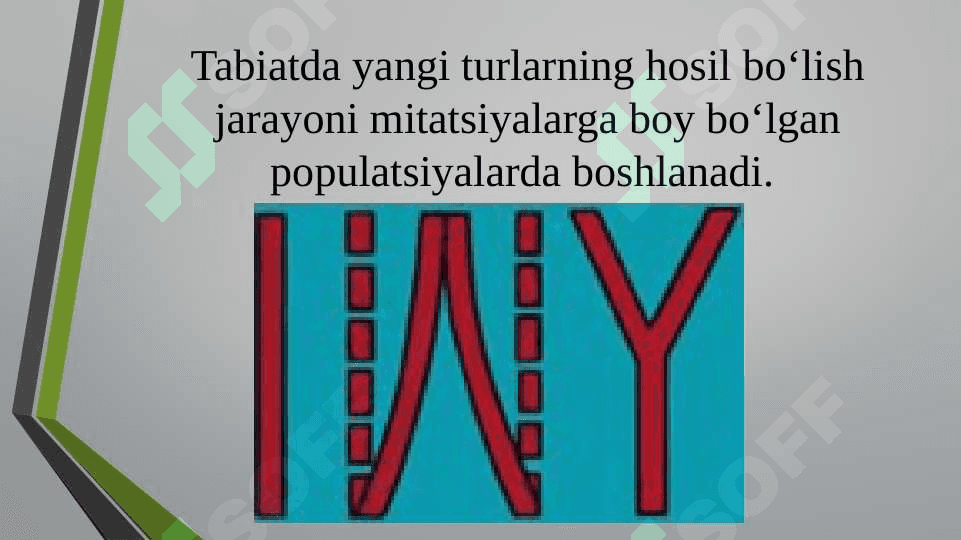 Turlarning paydo bo`lishi 2