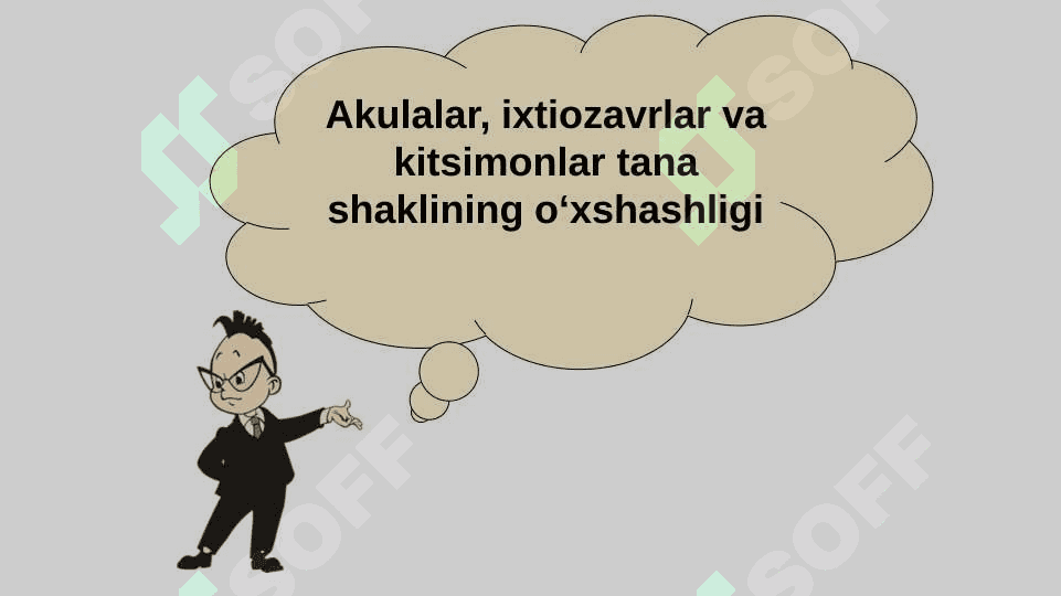 Organik olam evolutsiyasinig asosiy yo‘nalishlari 3